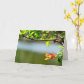 Baumzweig und orange Blume, unbedruckt innen Karte (Gelbe Blume)