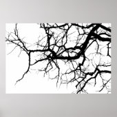 Baumzweige Poster (Vorne)