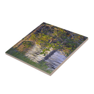 Baumzweige, Sonnenlicht, Spiegelung Fliese