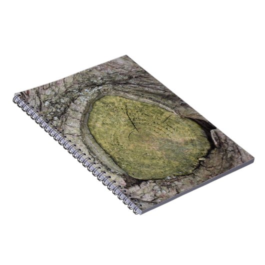 Baumzweigstube Nah Notizblock (Rechte Seite)