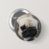 Bauwk ... Mops Hund ... Thailand Button (Vorne & Hinten)