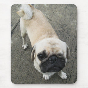 Bauwk… THAILÄNDISCHER MOPS-HUND Mousepad