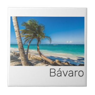 Bavaro Beach Caribbean Dominican Republic Souvenir Fliese