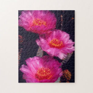 Bavertail-Kakteen Blume 2 Puzzle