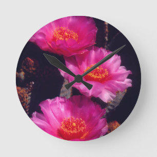 Bavertail-Kakteen Blume 2 Runde Wanduhr