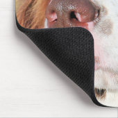 Baxter - englischer SpringerSpaniel Foto-06 Mousepad (Ecke)