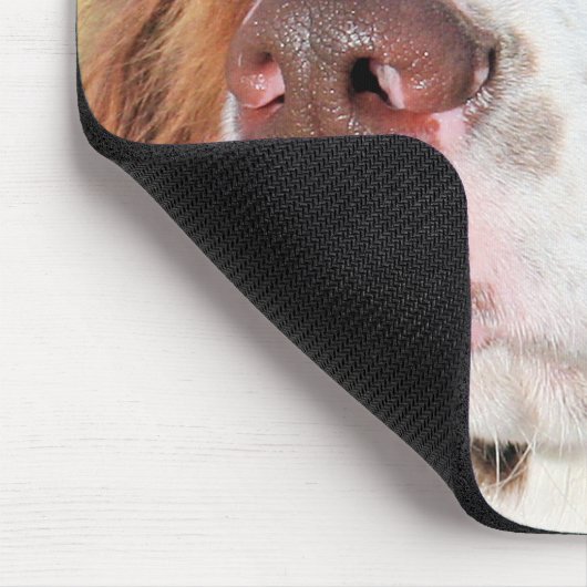 Baxter - englischer SpringerSpaniel Foto-06 Mousepad (Ecke)
