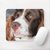 Baxter - englischer SpringerSpaniel Foto-06 Mousepad (Mit Mouse)