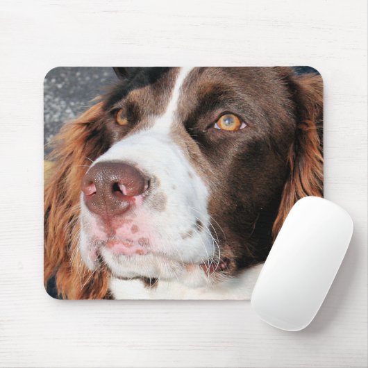 Baxter - englischer SpringerSpaniel Foto-06 Mousepad (Mit Mouse)