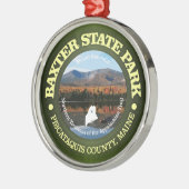 Baxter SP Ornament Aus Metall (Links)