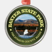 Baxter SP Ornament Aus Metall (Vorne)