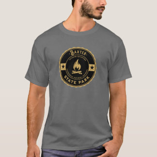 Baxter Staat Park Maine Boxy T-Shirt