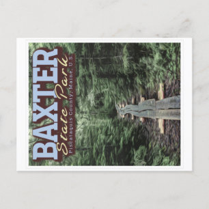 BAXTER STAAT PARK - MAINE VEREINIGTE STAATEN POSTKARTE
