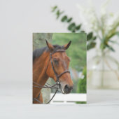 Bay Arab Horse Postcard Postkarte (Stehend Vorderseite)