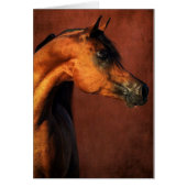 Bay Arabian Horse (Vorne)