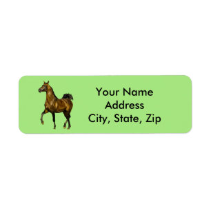 Bay Arabian Horse
