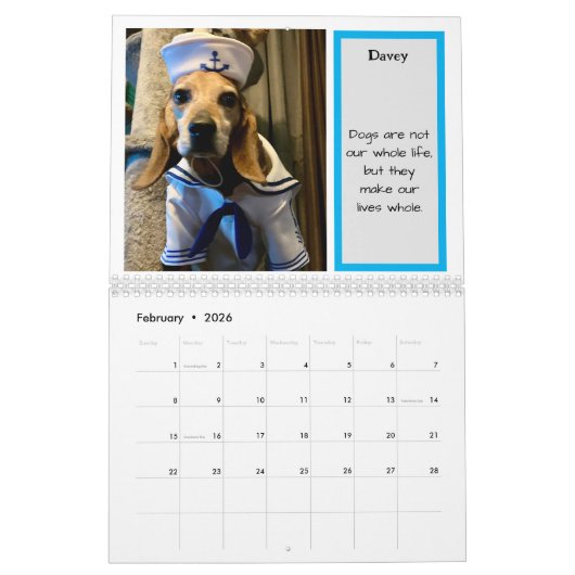 Bay Beagle Rescue 2024 Calendar Kalender (Feb 2026)