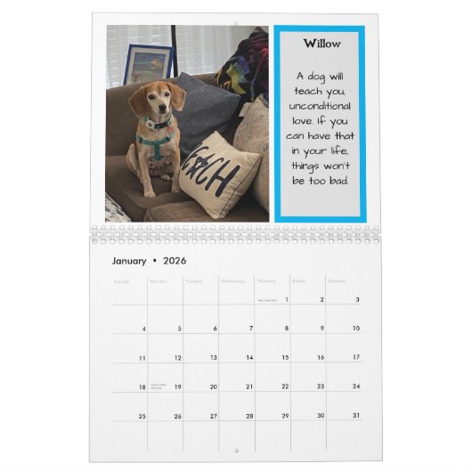 Bay Beagle Rescue 2024 Calendar Kalender (Jan 2026)