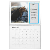 Bay Beagle Rescue 2024 Calendar Kalender (Mär 2027)