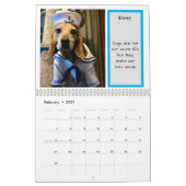 Bay Beagle Rescue 2024 Calendar Kalender (Feb 2027)