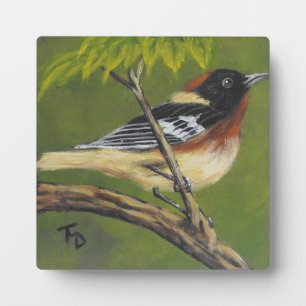 Bay Breasted Warbler - Tabletop Plaque mit Easel Fotoplatte