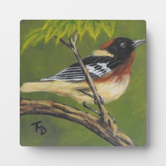 Bay Breasted Warbler - Tabletop Plaque mit Easel Fotoplatte (Vorderseite)