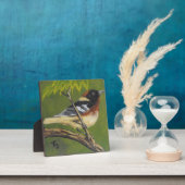 Bay Breasted Warbler - Tabletop Plaque mit Easel Fotoplatte (InSitu)