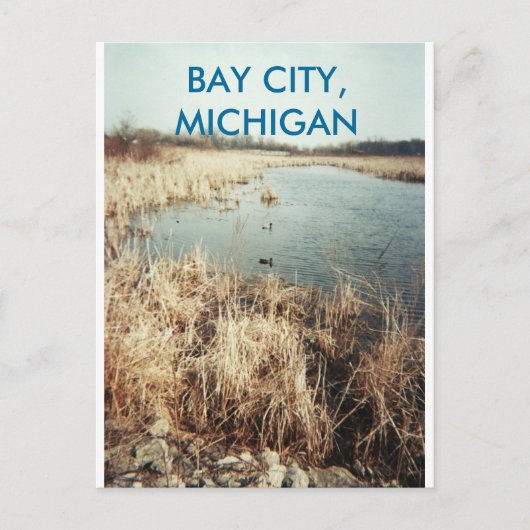 BAY CITY, MICHIGAN POSTCARD POSTKARTE (Vorderseite)