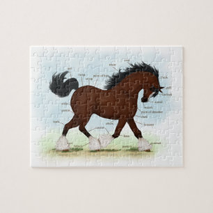 Bay Clydesdale Pferde Anatomische Übersicht Erzie Puzzle