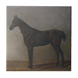 Bay Gelding Horse (von Albrecht Adam) Fliese