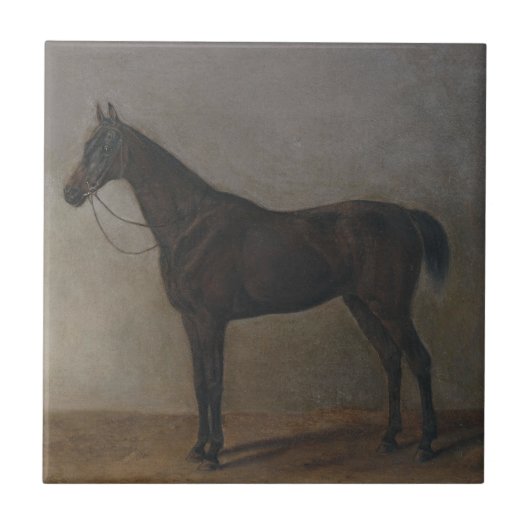 Bay Gelding Horse (von Albrecht Adam) Fliese (Vorderseite)