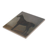 Bay Gelding Horse (von Albrecht Adam) Fliese (Seite)
