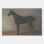 Bay Gelding Horse (von Albrecht Adam) Geschenkpapier Set (Vorderseite 2)