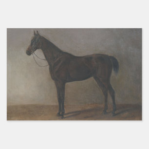 Bay Gelding Horse (von Albrecht Adam) Geschenkpapier Set
