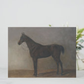 Bay Gelding Horse (von Albrecht Adam) Karte (Stehend Vorderseite)