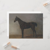 Bay Gelding Horse (von Albrecht Adam) Karte (Vorderseite/Rückseite Beispiel)