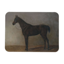 Bay Gelding Horse (von Albrecht Adam)