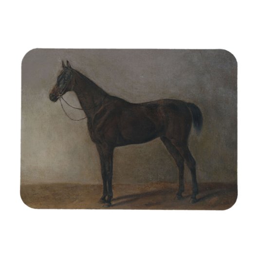 Bay Gelding Horse (von Albrecht Adam) Magnet (Horizontal)