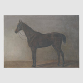 Bay Gelding Horse (von Albrecht Adam) Seidenpapier