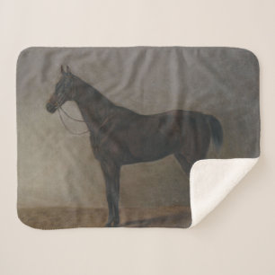 Bay Gelding Horse (von Albrecht Adam) Sherpadecke