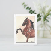 Bay Harness Pony 1 Postkarte (Stehend Vorderseite)