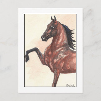 Bay Harness Pony 1 Postkarte