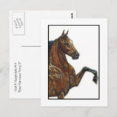 Bay Harness Pony 3 Postkarte (Vorne/Hinten)