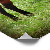 Bay Horoking Poster (Ecke)