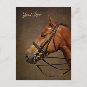 Bay Horse And Bridle Glückwunsch Postkarte