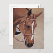 Bay Horse Animal Art Postcard Postkarte (Vorne/Hinten)