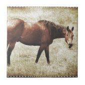 Bay Horse Fliese (Vorderseite)