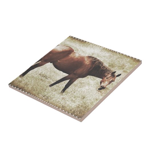 Bay Horse Fliese (Seite)