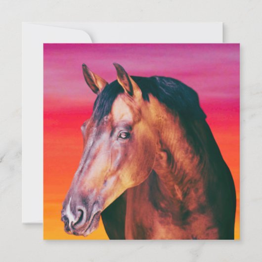 Bay Horse Gradient (Vorderseite)