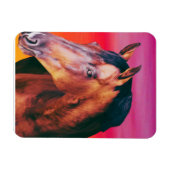Bay Horse Gradient Magnet (Horizontal)